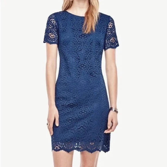 Ann Taylor Lace Shift Dress, Navy, size 10 - Picture 1 of 11